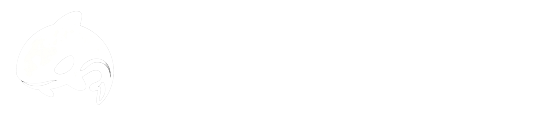 淘鲸跨境
